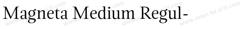 Magneta Medium Regul字体转换